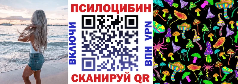 mega ТОР  Дмитровск  Галлюциногенные грибы прущие грибы 