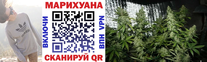 Каннабис Amnesia blacksprut как войти Дмитровск